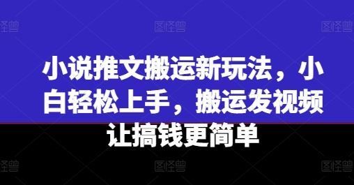 小说推文搬运新玩法，小白轻松上手，搬运发视频让搞钱更简单-孔明聊项目