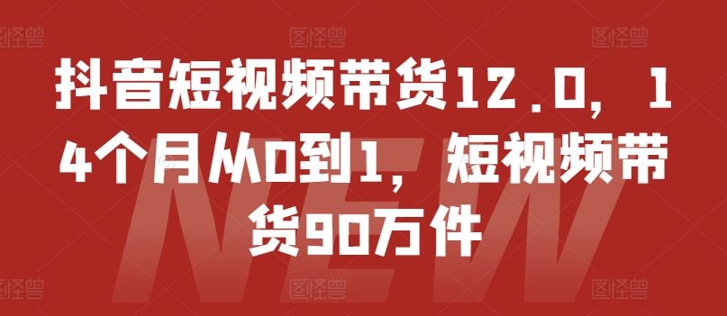 抖音短视频带货12.0，14个月从0到1，短视频带货90万件-孔明聊项目