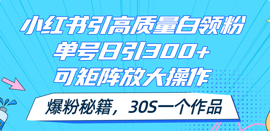 (11692期)小红书引高质量白领粉,单号日引300+,可放大操作,爆粉秘籍!30s一个作品-孔明聊项目