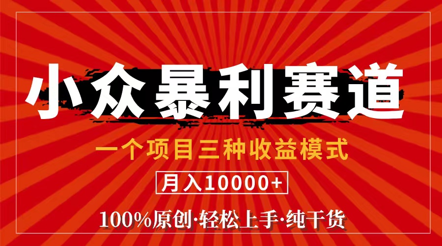 （11695期）视频号【中老年粉深信不疑】小众赛道 100%原创 手把手教学 新号3天收益…-孔明聊项目