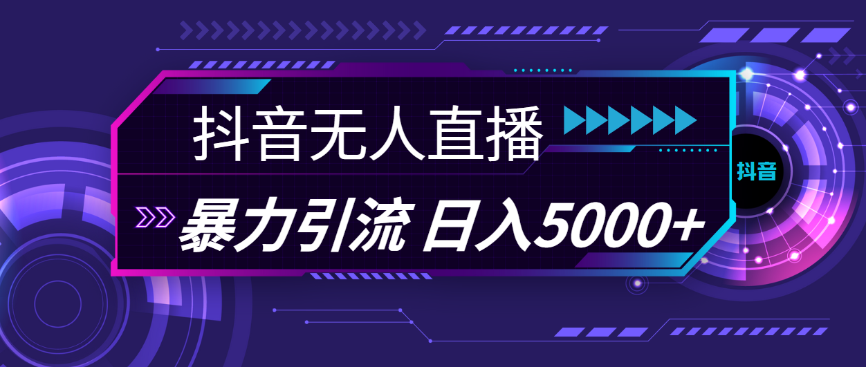 （11709期）抖音无人直播，暴利引流，日入5000+-孔明聊项目