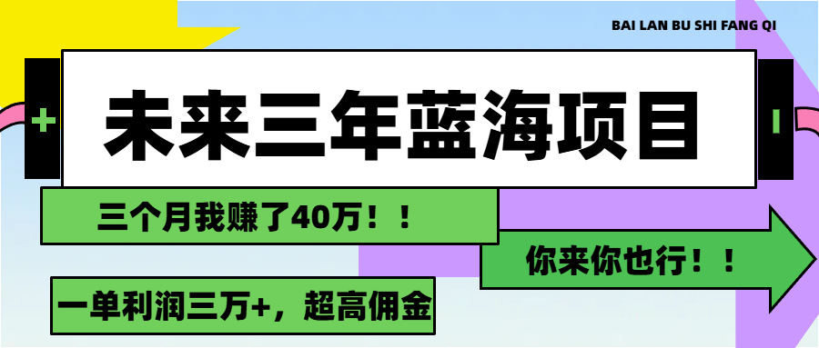（11716期）未来三年，蓝海赛道，月入3万+-孔明聊项目