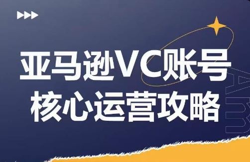 亚马逊VC账号核心玩法解析，实战经验拆解产品模块运营技巧，提升店铺GMV，有效提升运营利润-孔明聊项目