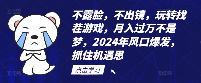 不露脸，不出镜，玩转找茬游戏，月入过万不是梦，2024年风口爆发，抓住机遇【揭秘】-孔明聊项目