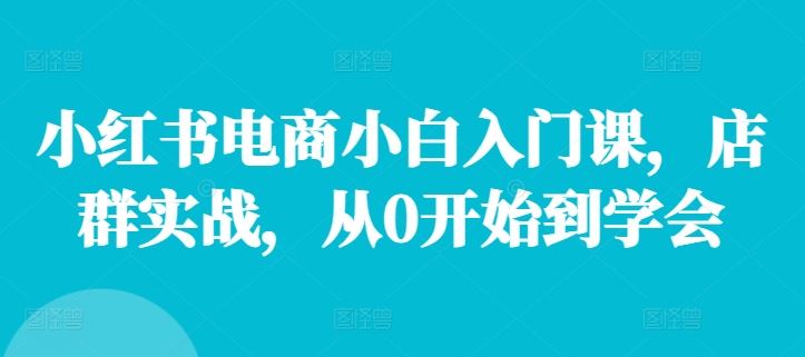 小红书电商小白入门课,店群实战,从0开始到学会-孔明聊项目