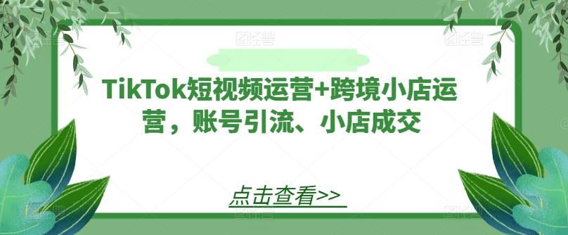 TikTok短视频运营+跨境小店运营,账号引流、小店成交-孔明聊项目