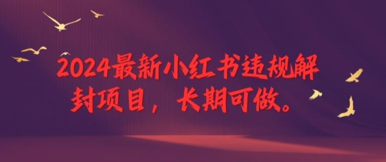 2024最新小红书违规解封项目，长期可做，一个可以做到退休的项目【揭秘】-孔明聊项目
