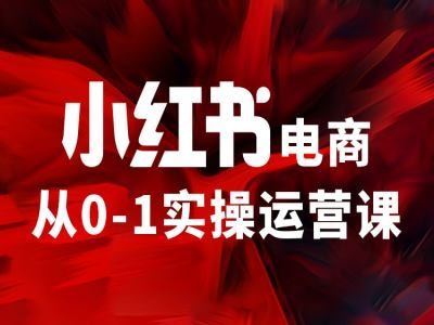 小红书电商从0-1实操运营课，让你从小白到精英-孔明聊项目