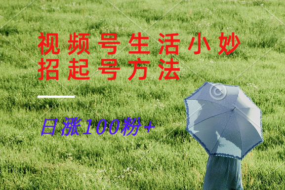 视频号生活小妙招分享赛道， 起号涨粉新方法，日涨100粉-孔明聊项目