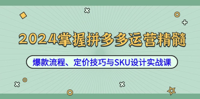 2024掌握拼多多运营精髓：爆款流程、定价技巧与SKU设计实战课-孔明聊项目