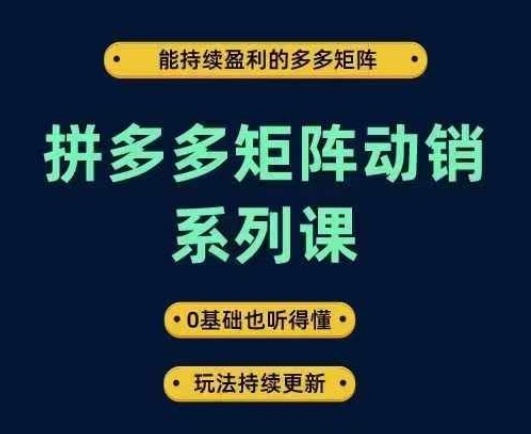 拼多多矩阵动销系列课，能持续盈利的多多矩阵，0基础也听得懂，玩法持续更新-孔明聊项目