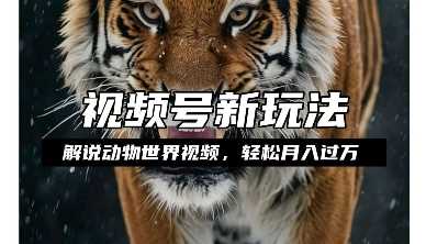 利用动物世界解说视频，赚分成计划收益，轻松月入过W，操作简单【揭秘】-孔明聊项目