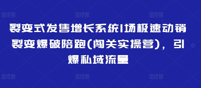 裂变式发售增长系统1场极速动销裂变爆破陪跑(闯关实操营)，引爆私域流量-孔明聊项目