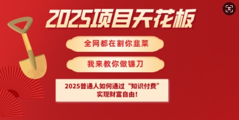 2025项目天花板普通人如何通过知识付费，实现财F自由【揭秘】-孔明聊项目