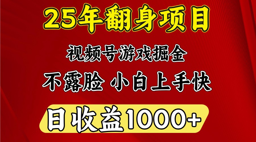 一天收益1000+ 25年开年落地好项目-孔明聊项目