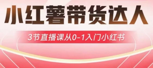 小红薯达人带货启航计划，3节直播课从0-1入门小红书-孔明聊项目
