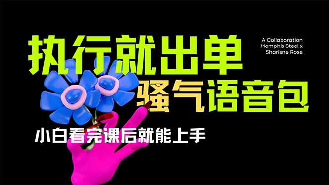 爆火全网的开车导航骚气语音包,只要执行就出单，小白看完课程就能实操…-孔明聊项目
