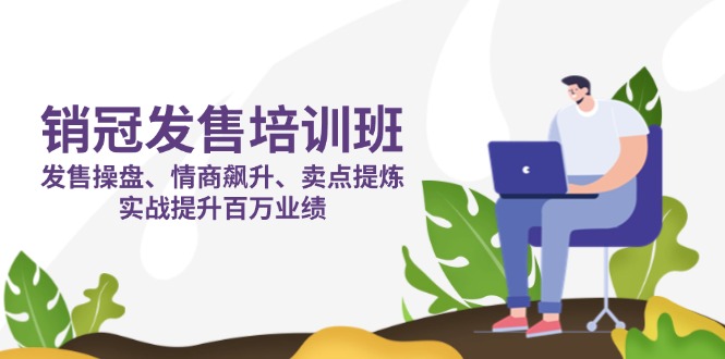 销冠 发售培训班:发售 操盘+情商 飙升+卖点 提炼,实战提升百万业绩-孔明聊项目