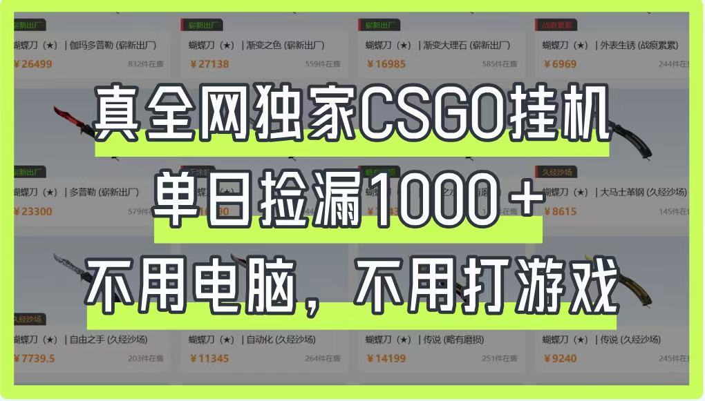 真全网独家CSGO挂机，单日捡漏1000+，不用电脑，不用养号-孔明聊项目