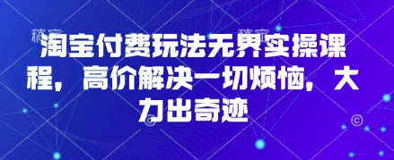 淘宝付费玩法无界实操课程，高价解决一切烦恼，大力出奇迹-孔明聊项目