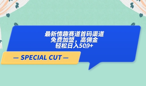 【轻云】最新情趣赛道首码渠道，免费加盟，高佣金，轻松日入5张+-孔明聊项目
