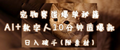 宠物赛道爆单秘籍：AI+数字人10分钟造爆款，日入1k-孔明聊项目