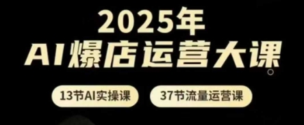 2025年AI爆店运营大课，13节AI实操课+37节流量运营课-孔明聊项目
