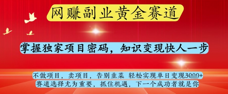 网创副业黄全赛道，掌握独家项目密码，知识变现快人一步，告别韭菜轻松实现单日变现1k+【揭秘】-孔明聊项目