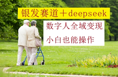 银发赛道+deepseek数字人全域变现,小白也能操作-孔明聊项目