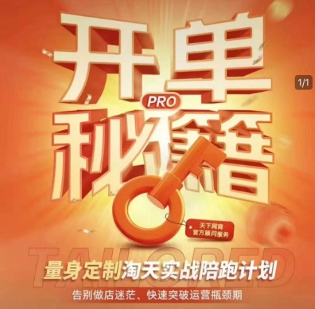 淘宝开单秘籍PRO，量身定制淘天实战陪跑计划，告别做店迷茫、快速突破运营瓶颈期(更新)-孔明聊项目