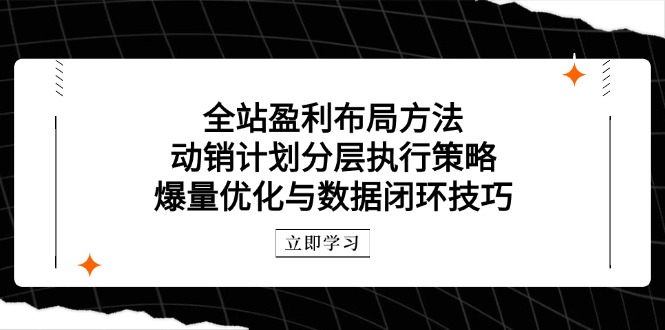 全站盈利布局方法：动销计划分层执行策略，爆量优化与数据闭环技巧-孔明聊项目