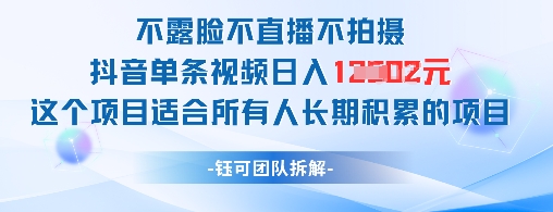 不露脸不直播不拍摄抖音单条视频日入1k+这个项目适合所有人长期积累的项目-孔明聊项目