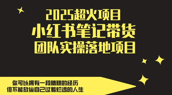 2025超火项目，副业最佳选择，小红书笔记带货团队实操落地项目，，轻松日入5张-孔明聊项目