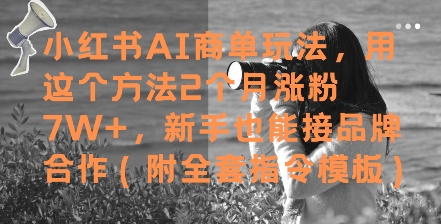 小红书AI商单玩法，用这个方法2个月涨粉7W+，新手也能接品牌合作(附全套指令模板)-孔明聊项目