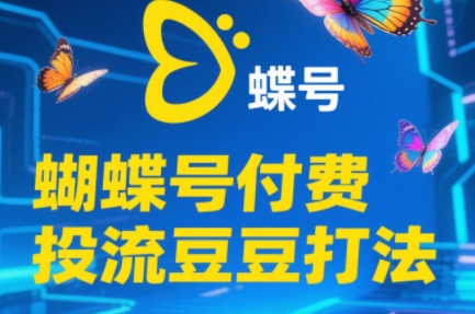 渔财老师·2025蝴蝶号付费投流豆豆打法-孔明聊项目