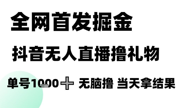 全网首发掘金抖音无人直播撸礼物，单号1k +无脑撸，当天拿结果【揭秘】-孔明聊项目
