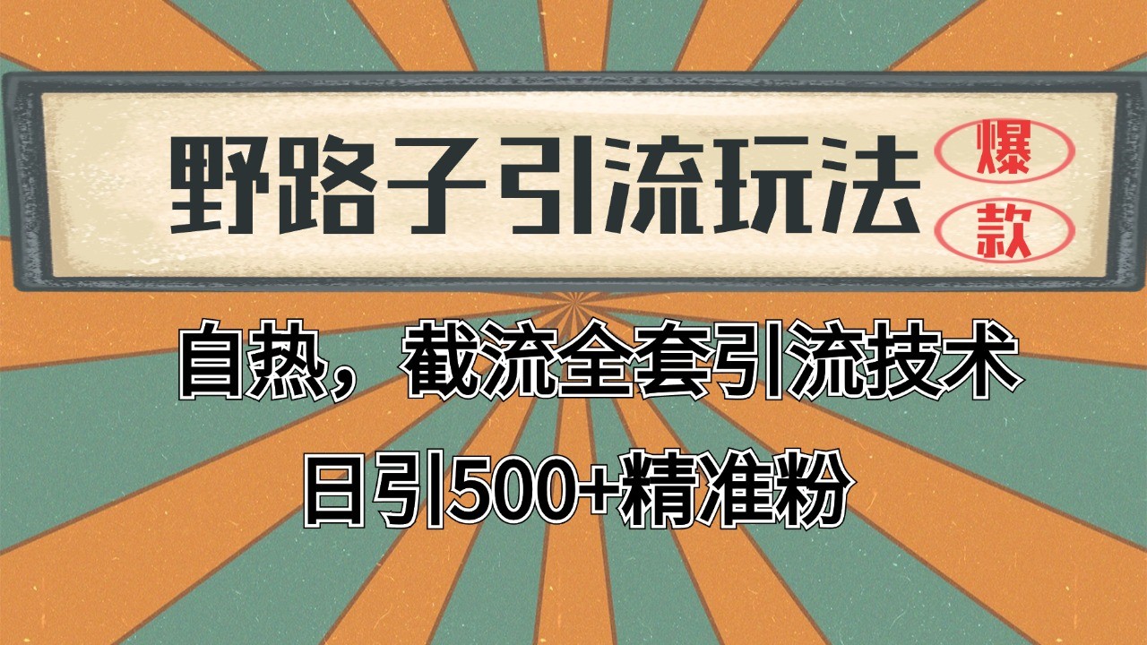 2024首发野路子引流玩法截流自热全平台打法，全自动引流【日引2000+精准客户】-孔明聊项目