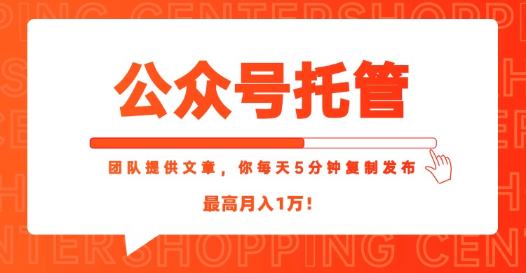 【公众号托管 】我提供文章，你每天５分钟复制发布，最高月入1W-孔明聊项目