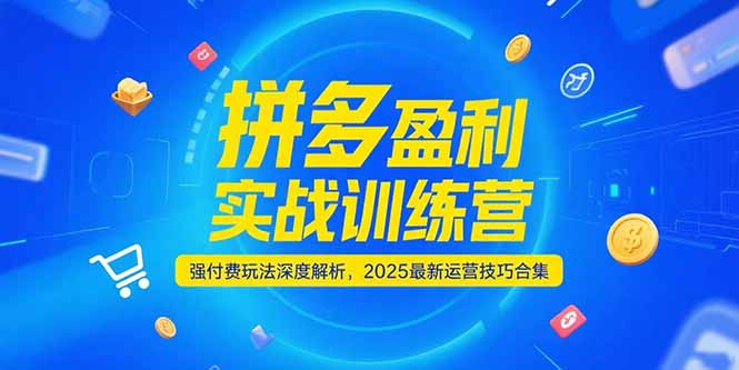 拼多多盈利实战训练营,强付费玩法深度解析,2025运营技巧合集-更新6月-孔明聊项目