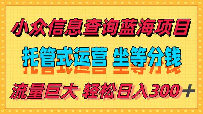 稳定日入300＋，小众信息查询蓝海项目，全程懒人式托管，解放你的时间-孔明聊项目