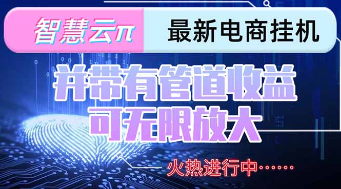 智慧云π电脑挂机单机每天收益300—500+ 并带有团队管道收益 可无限放大-孔明聊项目
