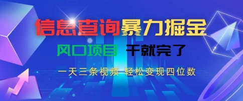 信息查询暴力掘金，一天三条视频，轻松变现四位数，风口项目干就完了【揭秘】-孔明聊项目