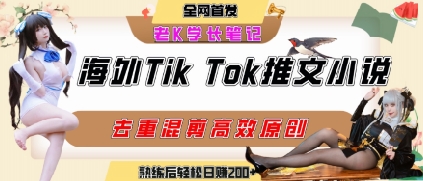 海外tiktok小说推文暴力项目，高停留率，高转化率，上手后一天搞顿饭钱不是问题-孔明聊项目