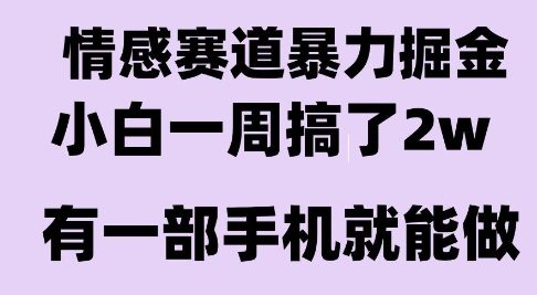 情感暴力掘金项目，新人操作一周挣了2W，长期稳定小白可做【揭秘】-孔明聊项目
