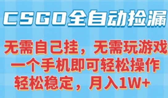 CSGO自动捡漏项目，最新独家玩法，一个手机可操作，新手小白轻松月入1W+，操作简单易上手【揭秘】-孔明聊项目
