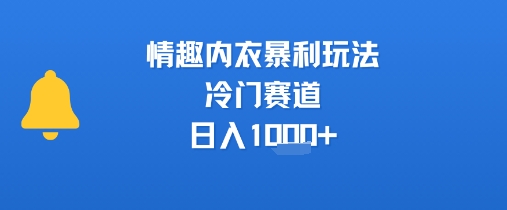 情趣内衣暴利玩法，冷门赛道，日入1k+-孔明聊项目