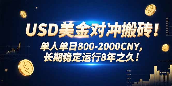 USD美金对冲搬砖!单人单日800-2000CNY，长期稳定运行8年之久!-孔明聊项目