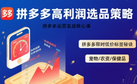 拼多多选品暴利技术实战课，拼多多高利润选品策略，拼多多限时低价标签秘诀-孔明聊项目