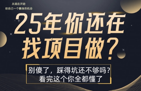 25年，你还在疯狂的找项目吗？别傻了，看完这个你都懂了【揭秘】-孔明聊项目