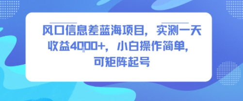 风口信息差蓝海项目，实测一天收益4k+，小白操作简单，可矩阵起号-孔明聊项目
